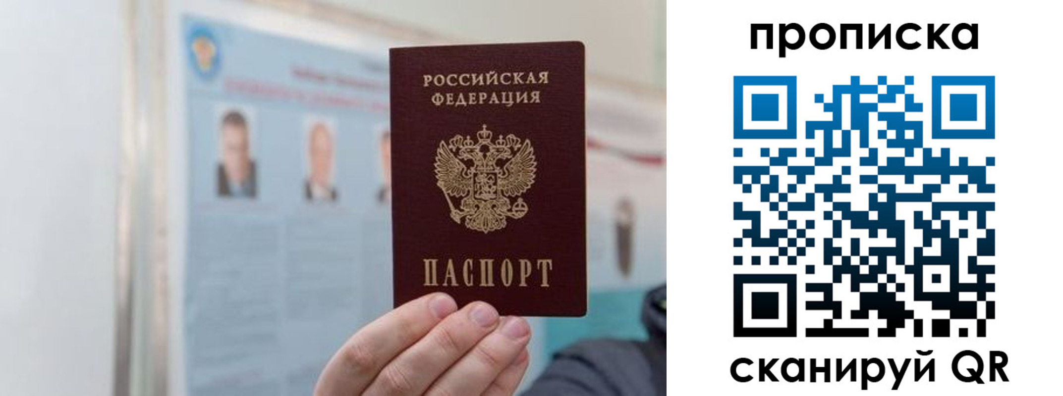 прописка 2025 в Павловске